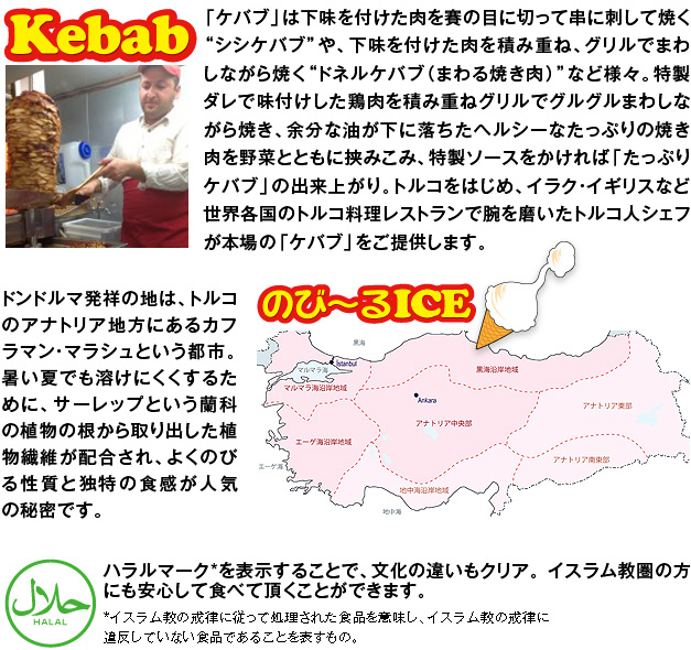 トルコのたっぷりケバブについて